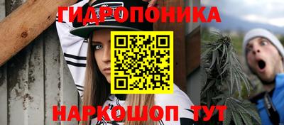 винт Камышлов