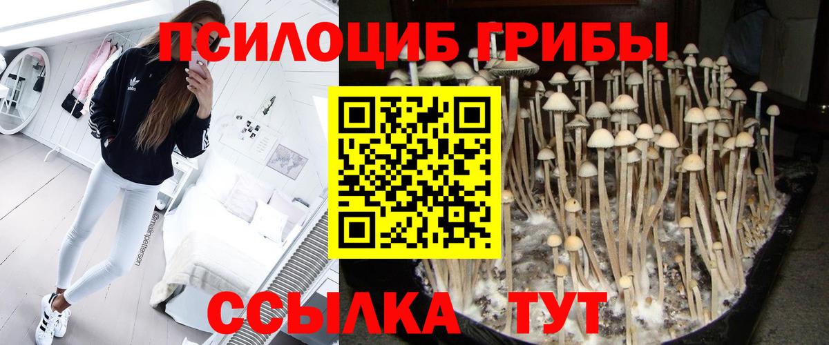 Галлюциногенные грибы ЛСД  Вход с VPN  Кыштым  Псилоцибиновые грибы MAGIC MUSHROOMS 