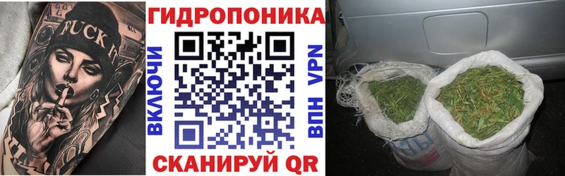 Бошки марихуана планчик  цена   Кыштым 
